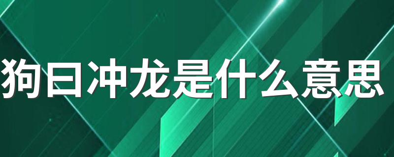 狗曰冲龙是什么意思 星命学了解一下