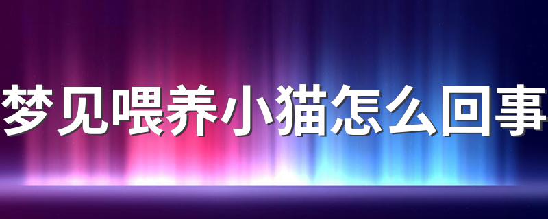 梦见喂养小猫怎么回事