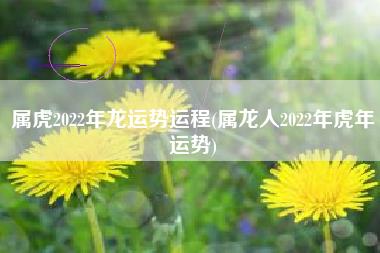 属虎2022年龙运势运程