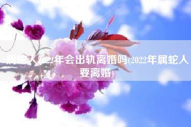 属蛇人2022年会出轨离婚吗