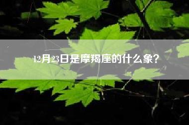 12月23日是摩羯座的什么象