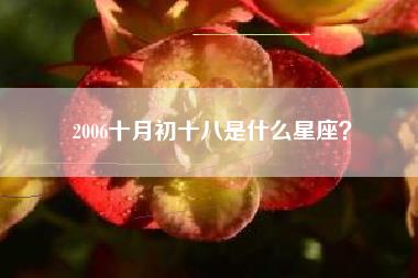 2006十月初十八是什么星座