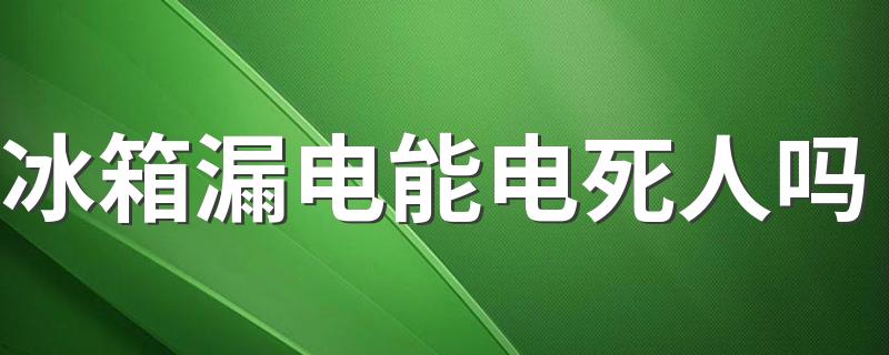 冰箱漏电能电死人吗 冰箱不制冷维修费用大概是多少