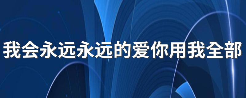 我会永远永远的爱你用我全部的生命是什么歌