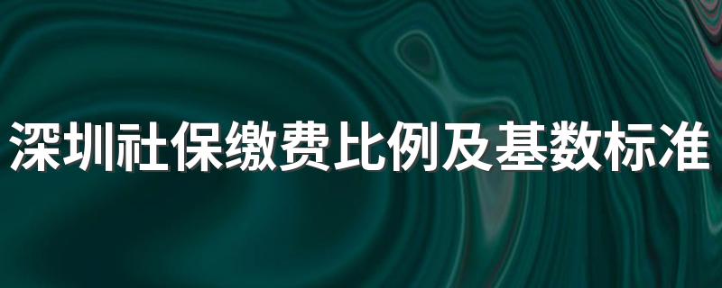 深圳社保缴费比例及基数标准2022一览