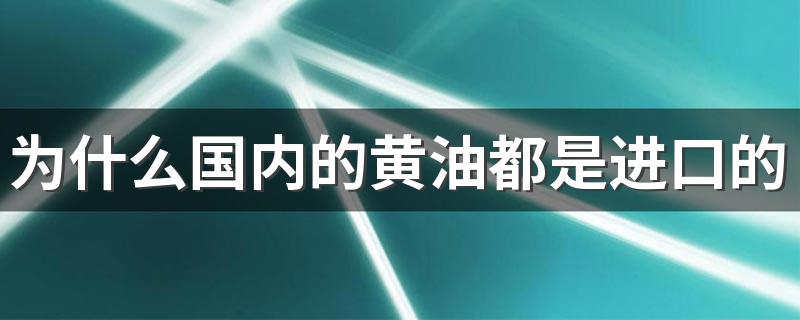 为什么国内的黄油都是进口的 黄油怎么挑选