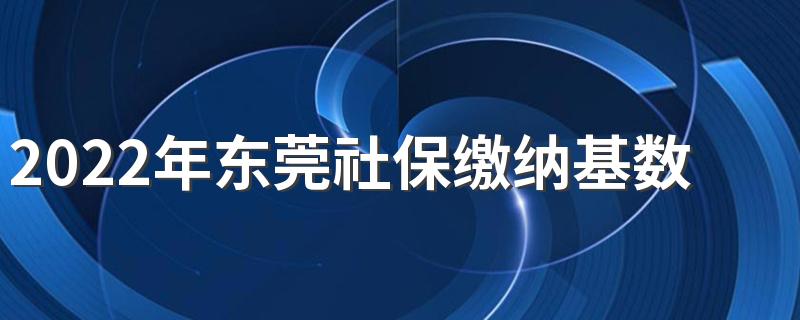 2022年东莞社保缴纳基数及比例是多少 社保缴费基数可以随时调整吗