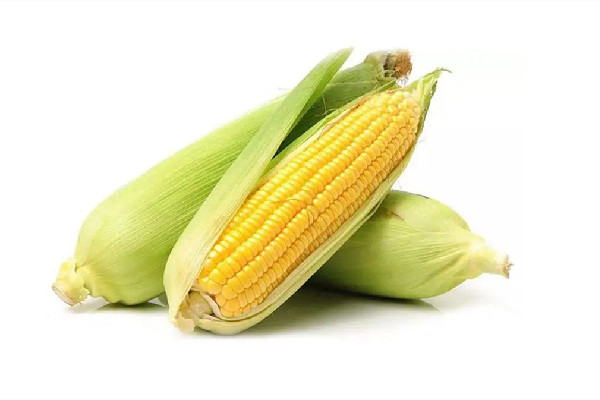 甜玉米和糯玉米区别 甜玉米和糯玉米哪个含糖量高
