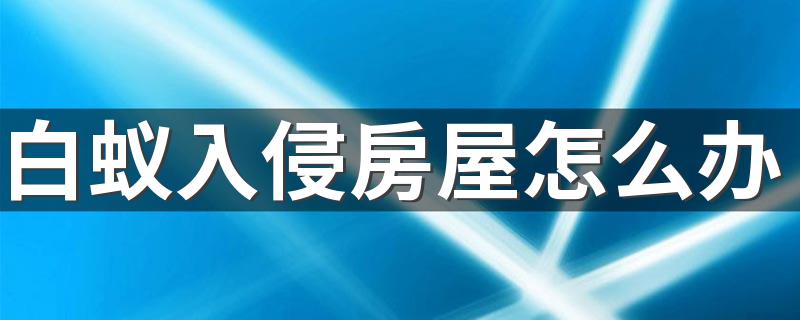 白蚁入侵房屋怎么办 如何消灭家中的白蚁