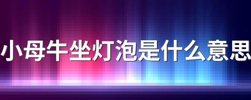 小母牛坐灯泡是什么意思 小母牛坐灯泡是什么梗