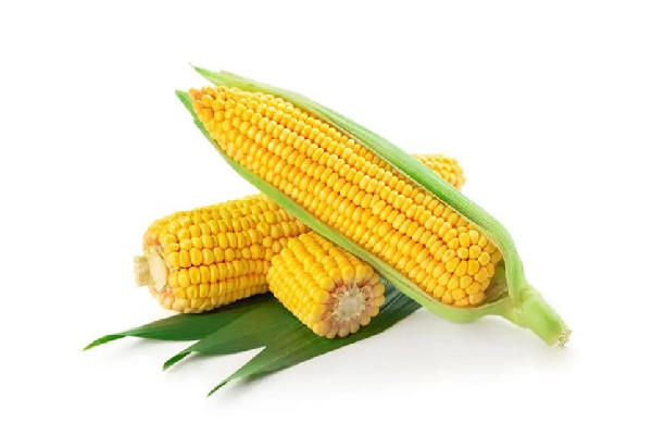 甜玉米是碳水吗 甜玉米属于粗粮吗