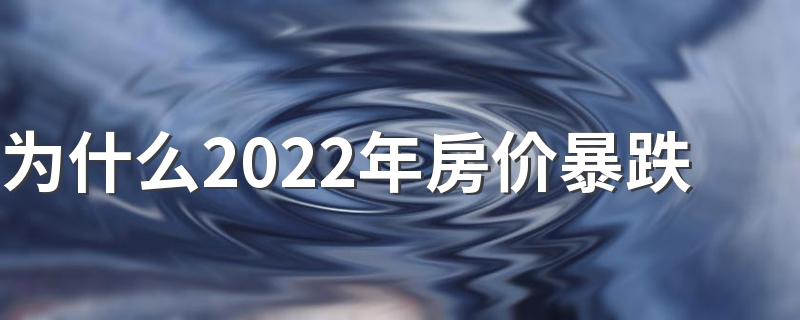 为什么2022年房价暴跌 十年后的房价会比现在便宜吗