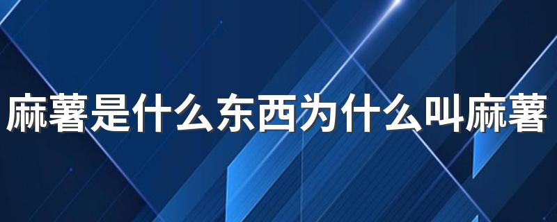 麻薯是什么东西为什么叫麻薯 麻薯是用什么食材做成的