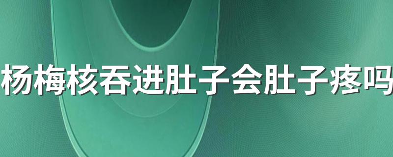 杨梅核吞进肚子会肚子疼吗 不小心吞下杨梅核要紧吗