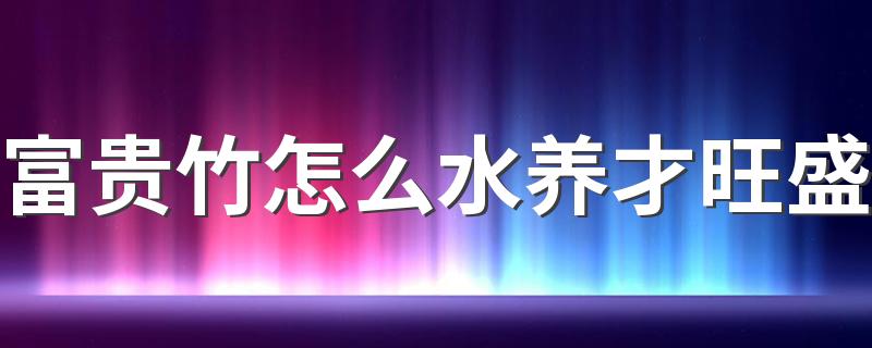 富贵竹怎么水养才旺盛 富贵竹水养好还是土养好