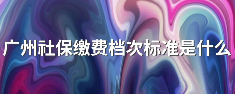 广州社保缴费档次标准是什么 广州社保一个月要交多少钱