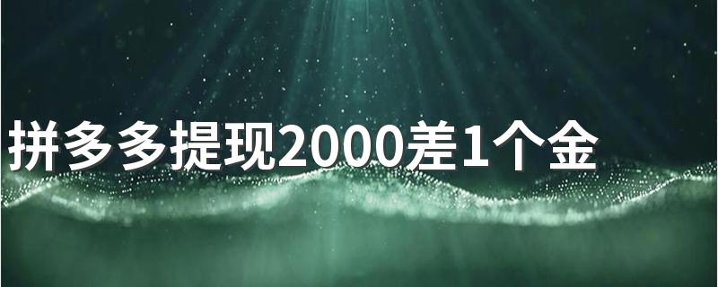 拼多多提现2000差1个金币需要多少人