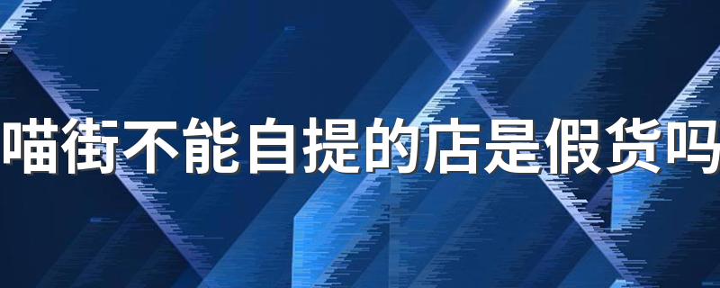 喵街不能自提的店是假货吗 喵街就是银泰专柜的东西吗