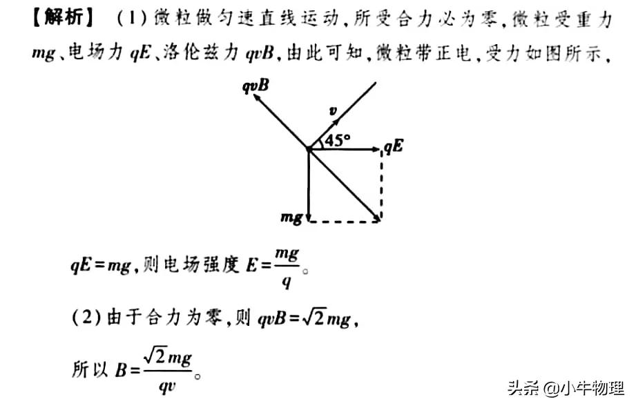 带电粒子在复合场中的运动