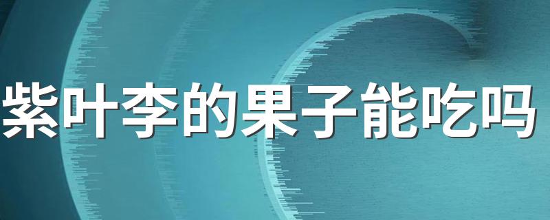 紫叶李的果子能吃吗 紫叶李是李子树吗