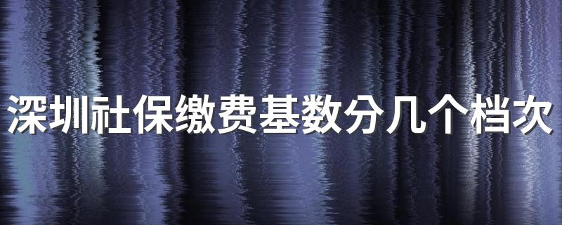 深圳社保缴费基数分几个档次 深圳社保档次可以随时更改吗