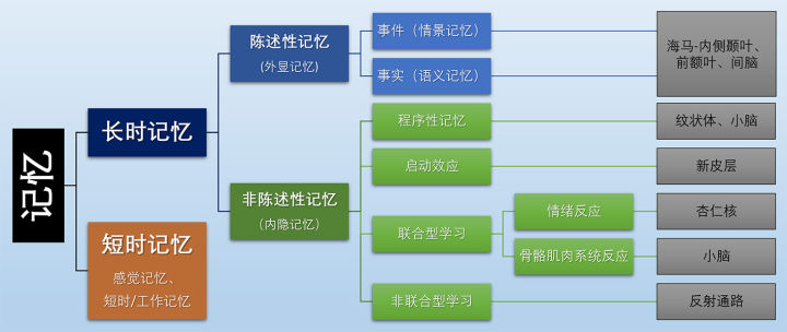 记忆的分类及其理论模型