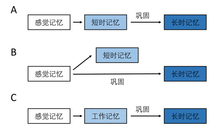 记忆的分类及其理论模型