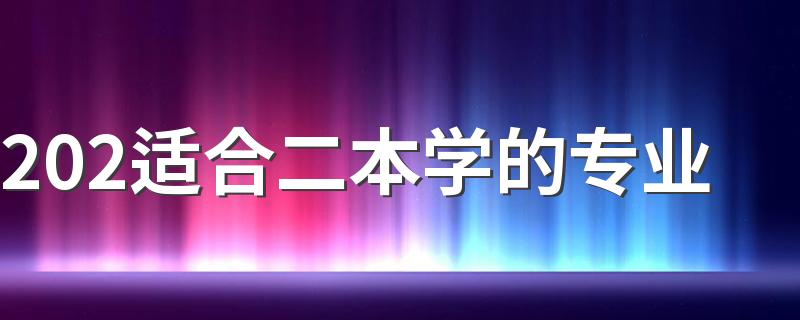 202适合二本学的专业