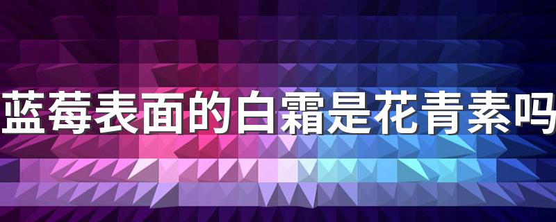 蓝莓表面的白霜是花青素吗