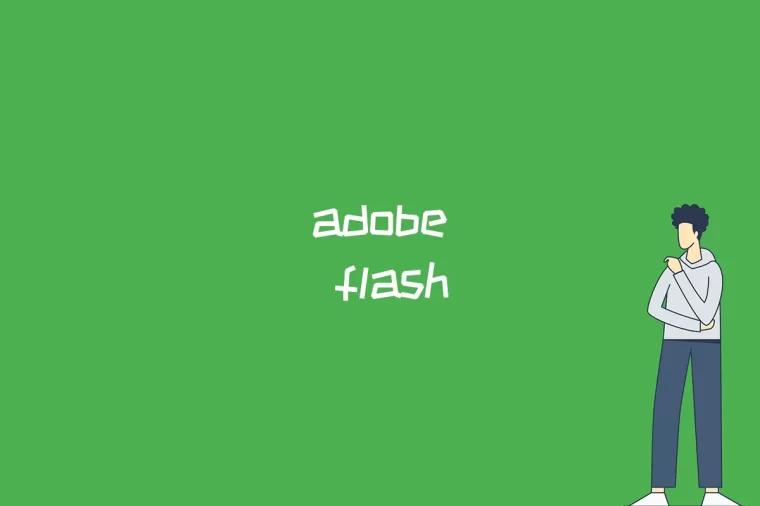 adobe flash是什么