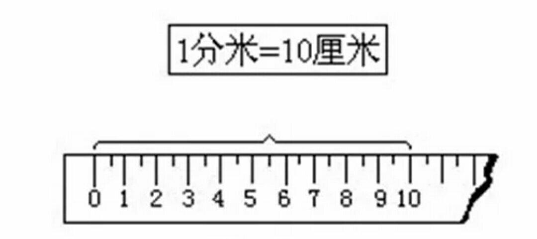 1米等于多少分米