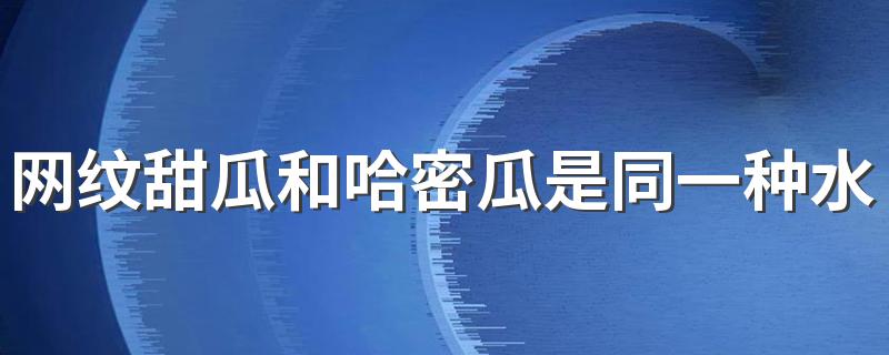 网纹甜瓜和哈密瓜是同一种水果吗