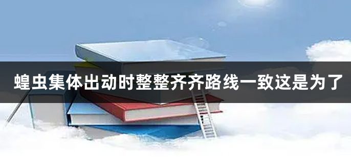 蝗虫集体出动时整整齐齐路线一致这是为了