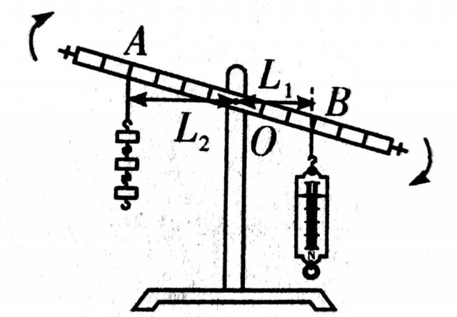 八年级：[实验]杠杆平衡的条件