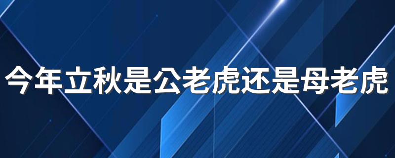 今年立秋是公老虎还是母老虎啊