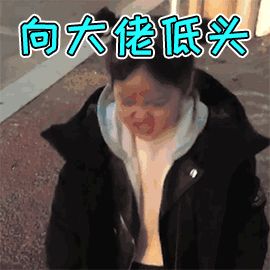 哪里可以找到自考历年真题？