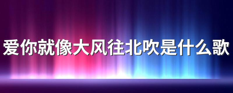 爱你就像大风往北吹是什么歌 苦咖啡完整歌词