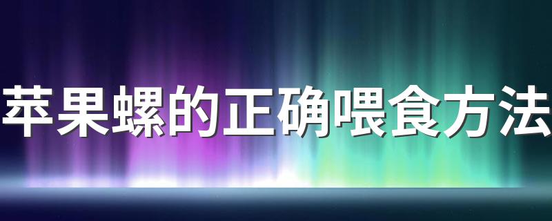 苹果螺的正确喂食方法 如何喂养苹果螺