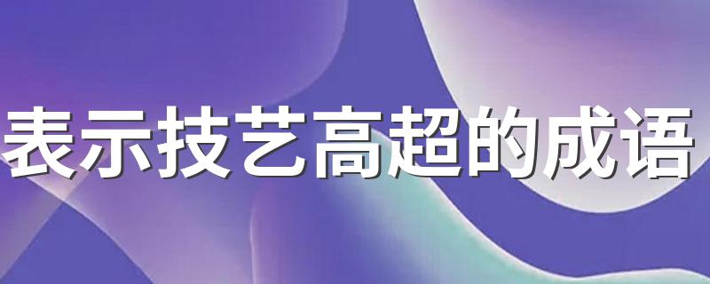 表示技艺高超的成语 表示技艺高超的成语集锦