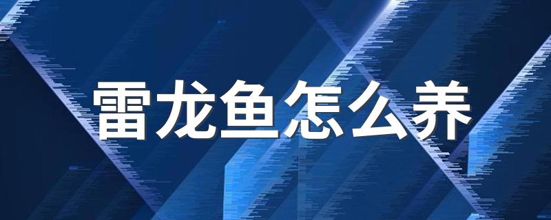 雷龙鱼怎么养 雷龙鱼的饲养技巧