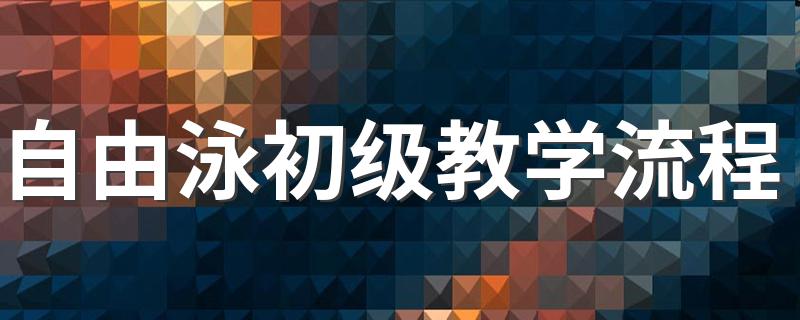 自由泳初级教学流程 游泳入门技巧