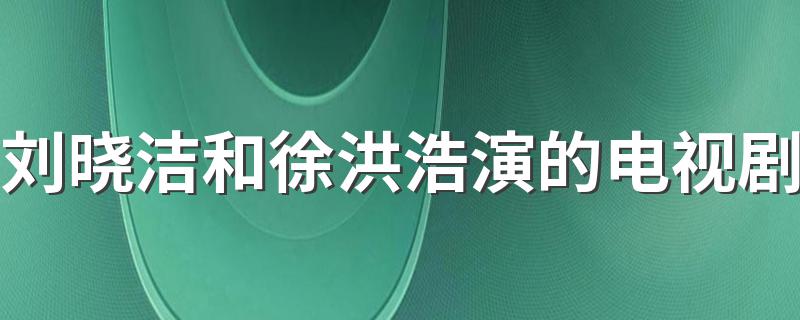 刘晓洁和徐洪浩演的电视剧 刘晓洁和徐洪浩演的电视剧简述