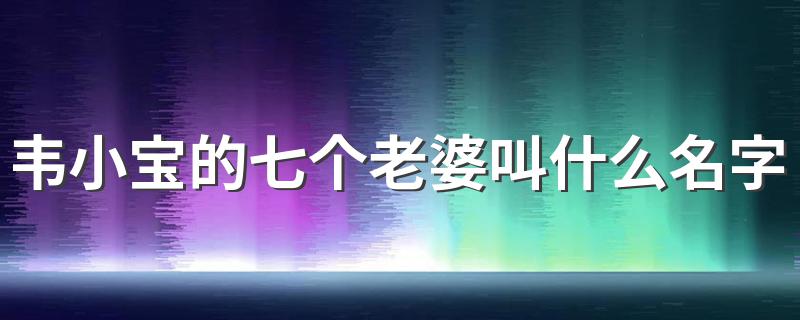 韦小宝的七个老婆叫什么名字 韦小宝的简介