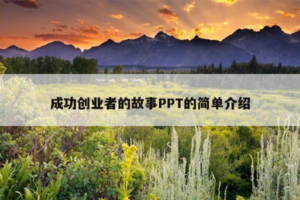 成功创业者的故事PPT的简单介绍