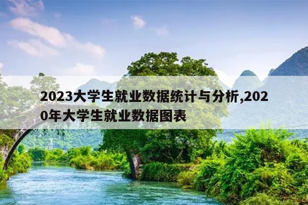 2023大学生就业数据统计与分析,2020年大学生就业数据图表