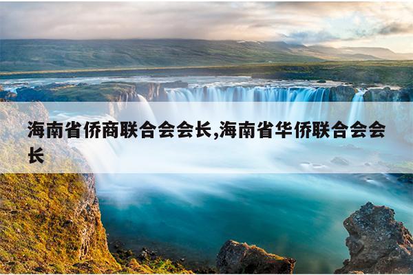 海南省侨商联合会会长,海南省华侨联合会会长