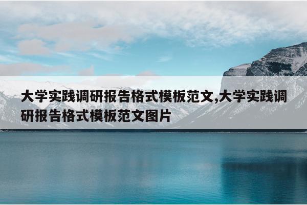 大学实践调研报告格式模板范文,大学实践调研报告格式模板范文图片