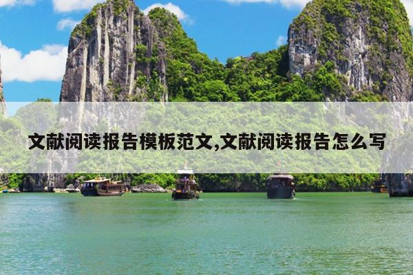 文献阅读报告模板范文,文献阅读报告怎么写