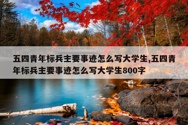 五四青年标兵主要事迹怎么写大学生,五四青年标兵主要事迹怎么写大学生800字