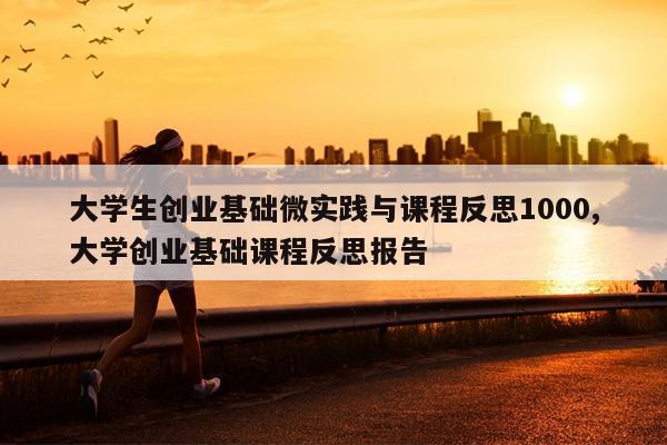 大学生创业基础微实践与课程反思1000,大学创业基础课程反思报告